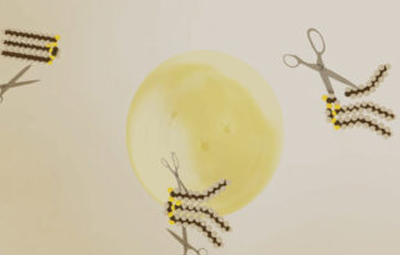 더 깊고 더 빠르게- 피부 흡수 촉진 솔루션 EZLite