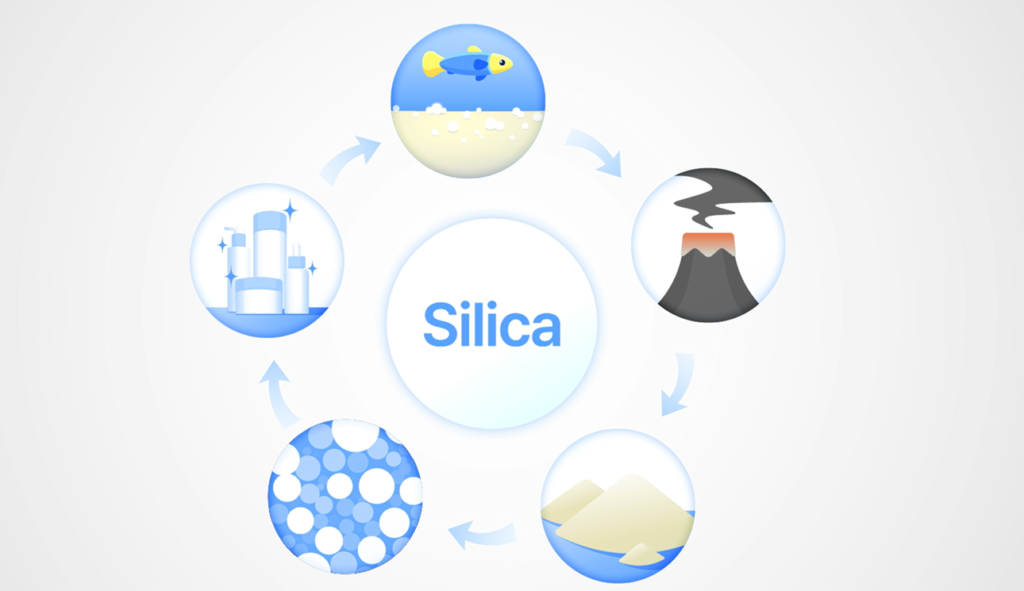 From the Earth, Of the Earth, To the Earth: 지속가능한 실리카의 여정