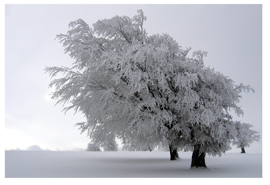 추운겨울, 태백산 정상에서 얻은 영감(Inspriation), 막대형 Zinc Oxide