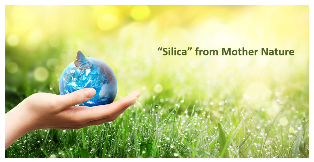 대자연에서 유래된 친환경적이고 지속 가능한 화장품 원료를 만나보세요!