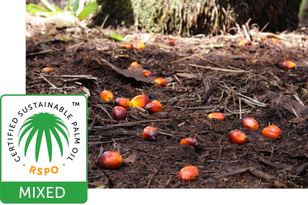 선진뷰티사이언스, RSPO 재인증 획득하다!