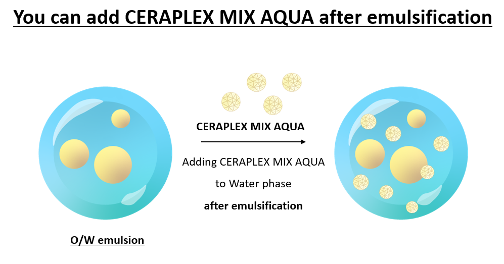 O/W 제형에 세라마이드를 쉽게 사용 할 수 있는 원료를 만나보세요!